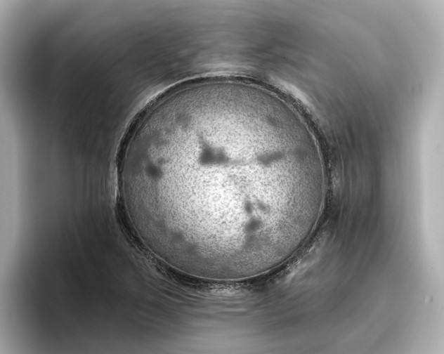 X0000096951267200802221315