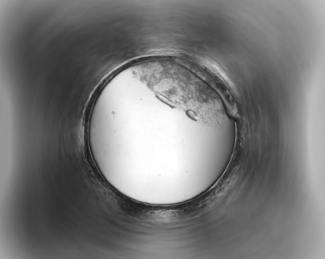 X0000096951268200802221315