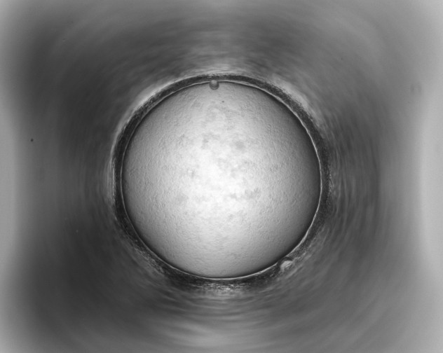 X0000096951270200802221315