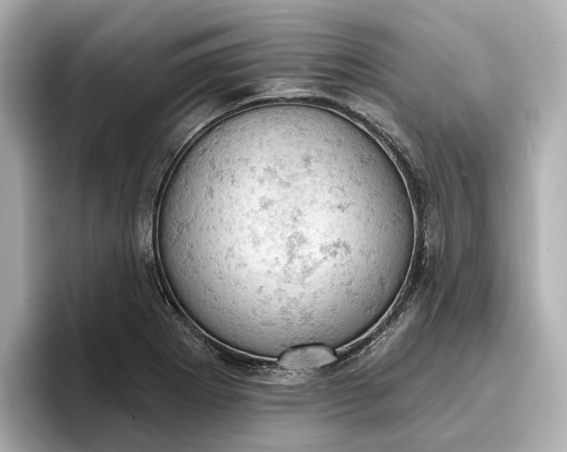 X0000096951273200802221315