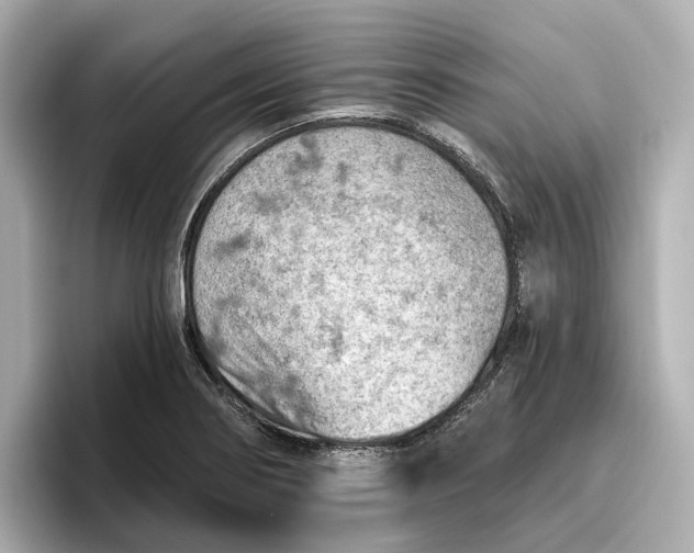 X0000096951274200802221315