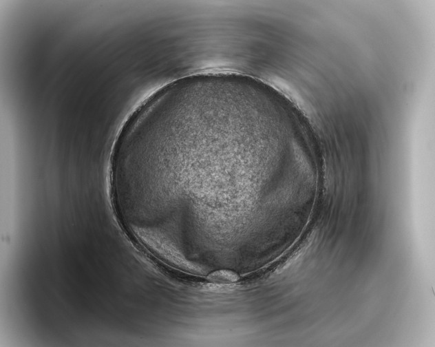 X0000096951277200802221315