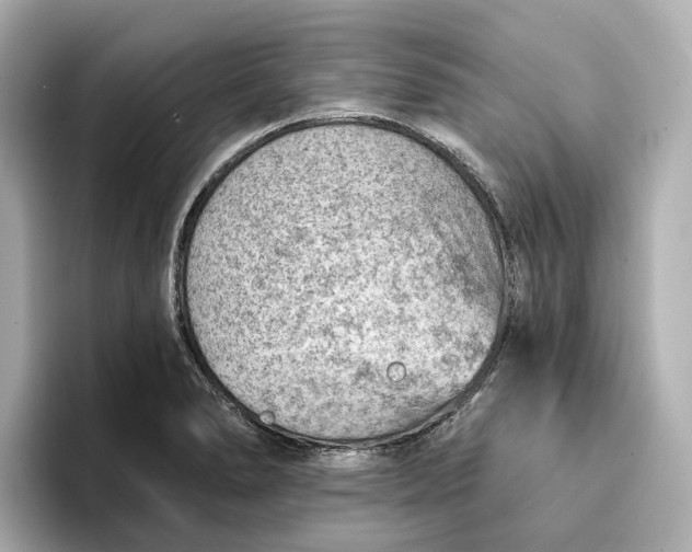 X0000096951278200802221315