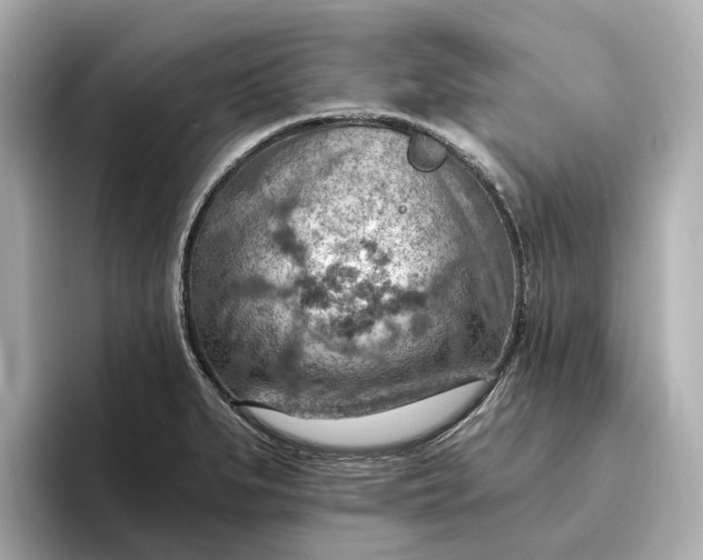 X0000096951279200802221315