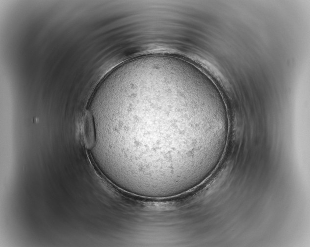 X0000096951281200802221315