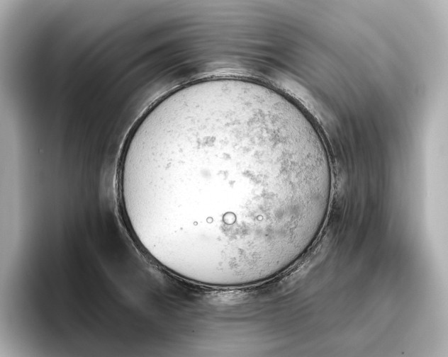 X0000096951282200802221315