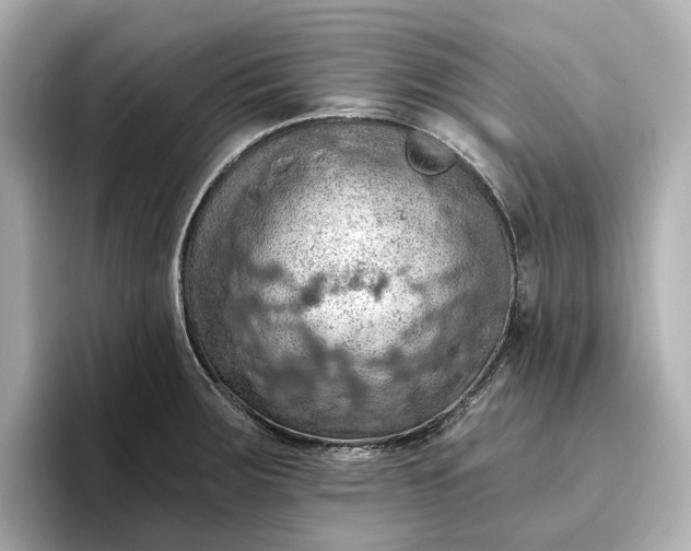 X0000096951283200802221315