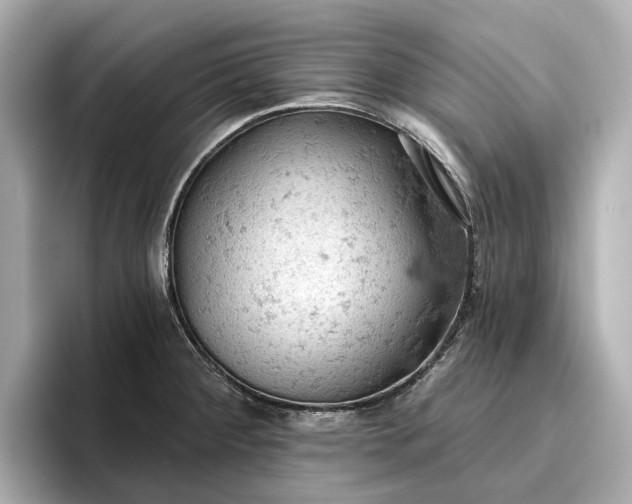 X0000096951284200802221315