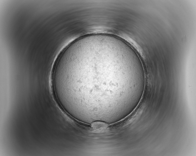 X0000096951285200802221315