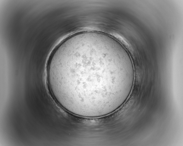 X0000096951286200802221315