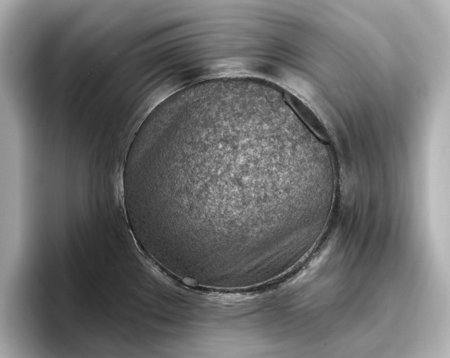 X0000096951289200802221315