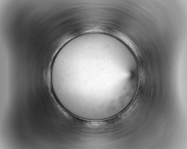 X0000096951290200802221314