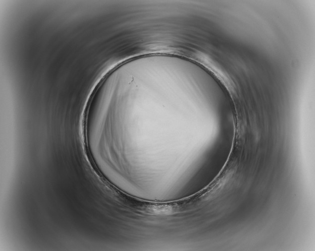 X0000096951291200802221314
