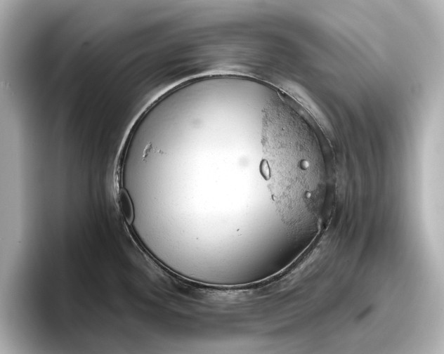 X0000096951292200802221314