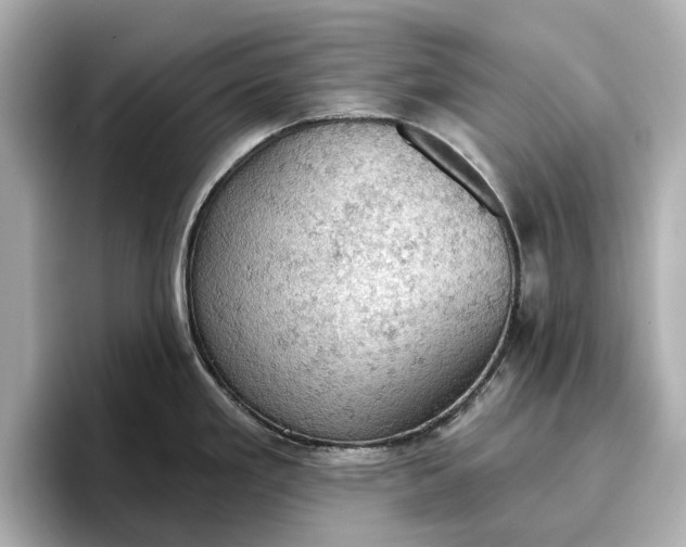 X0000096951293200802221314