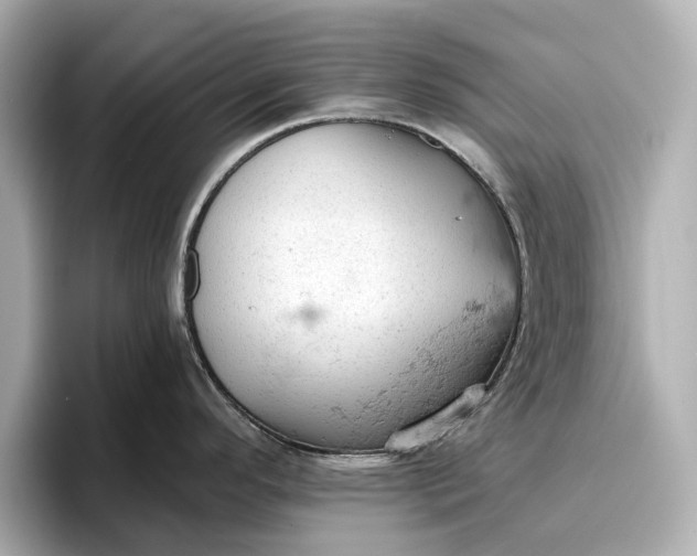 X0000096951296200802221314