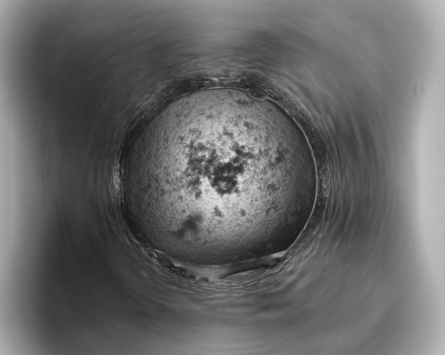 X0000096951298200802221314