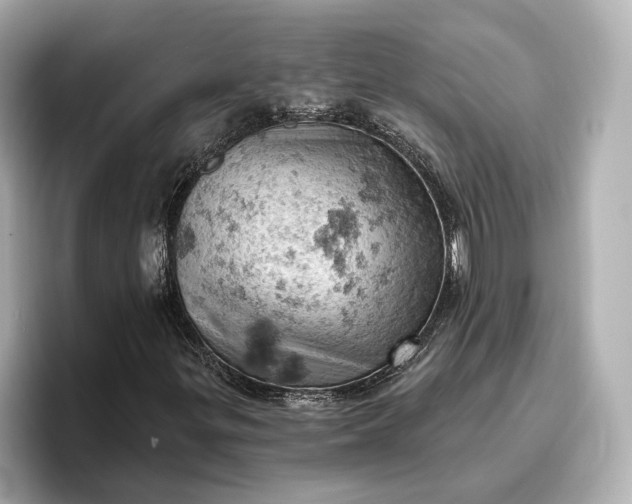 X0000096951299200802221314