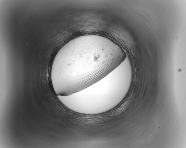 X0000096951300200802221314