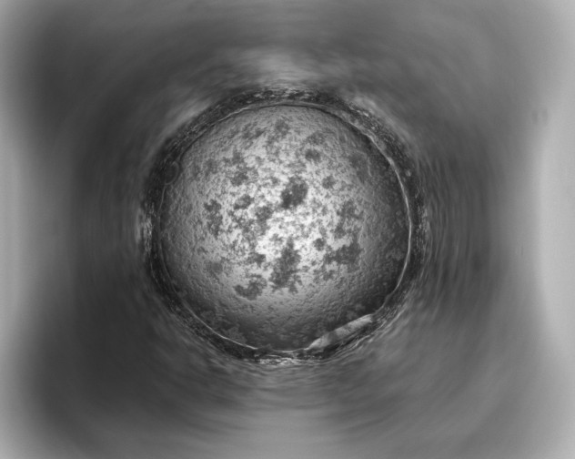 X0000096951302200802221314