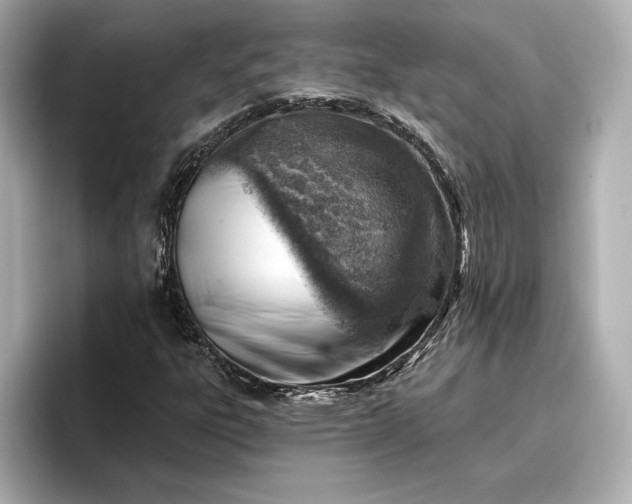 X0000096951303200802221314