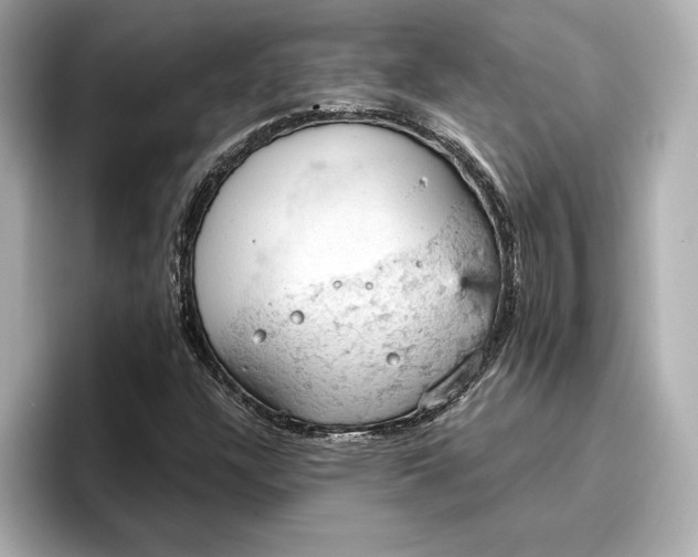 X0000096951304200802221314