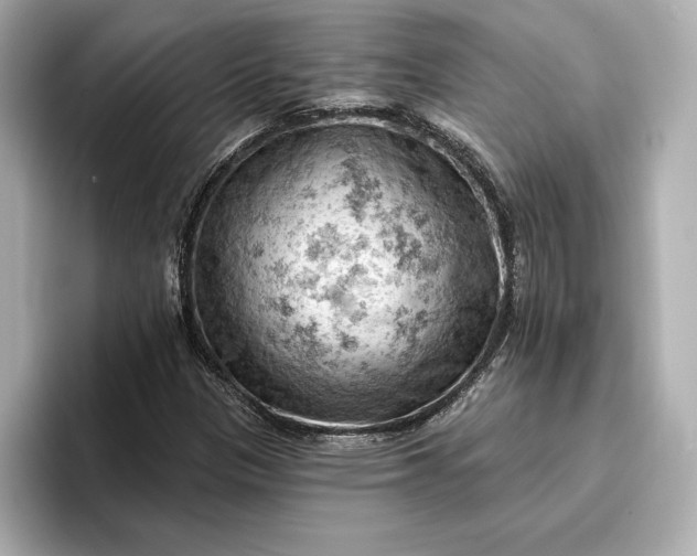 X0000096951305200802221314