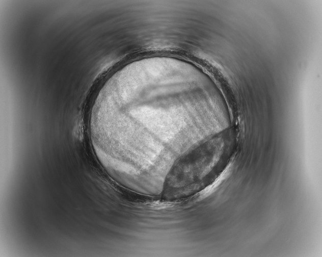X0000096951306200802221314