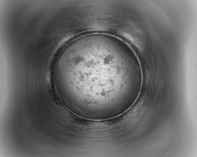 X0000096951307200802221314