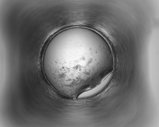 X0000096951308200802221314