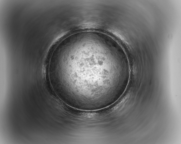 X0000096951309200802221314