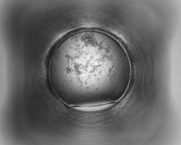 X0000096951311200802221314
