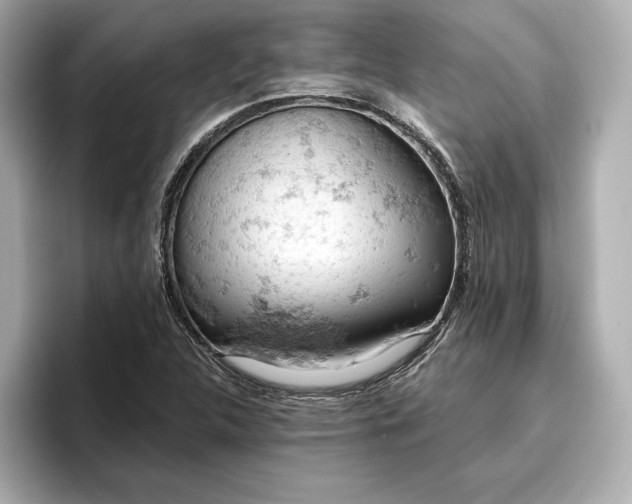 X0000096951312200802221314