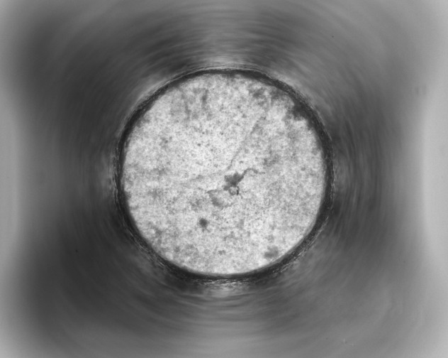 X0000096951314200802221314