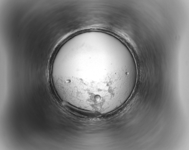 X0000096951316200802221314