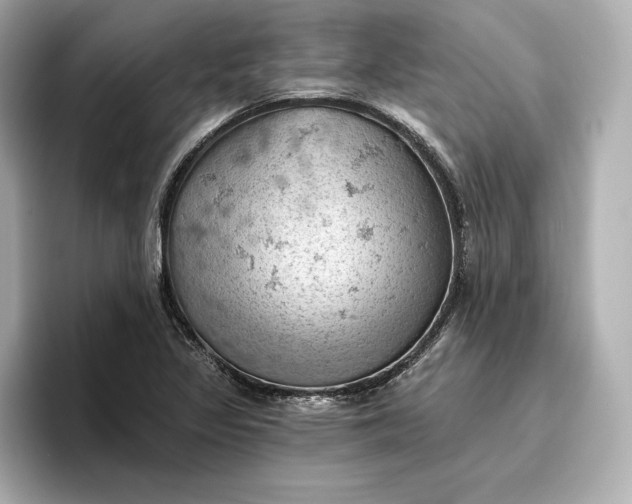 X0000096951317200802221314
