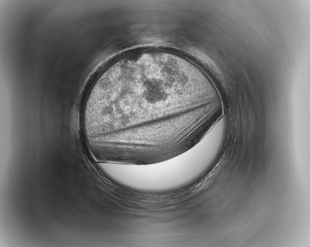 X0000096951318200802221314