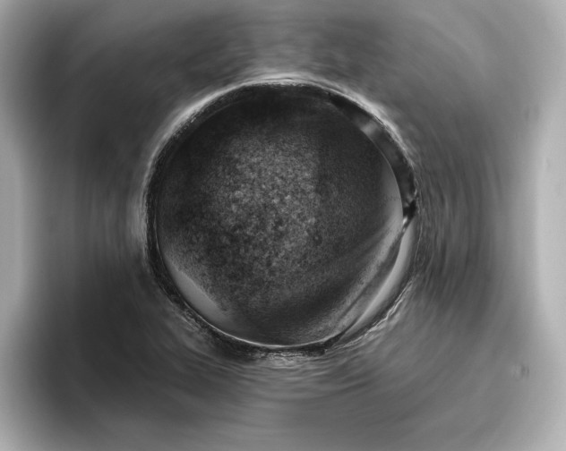 X0000096951319200802221314