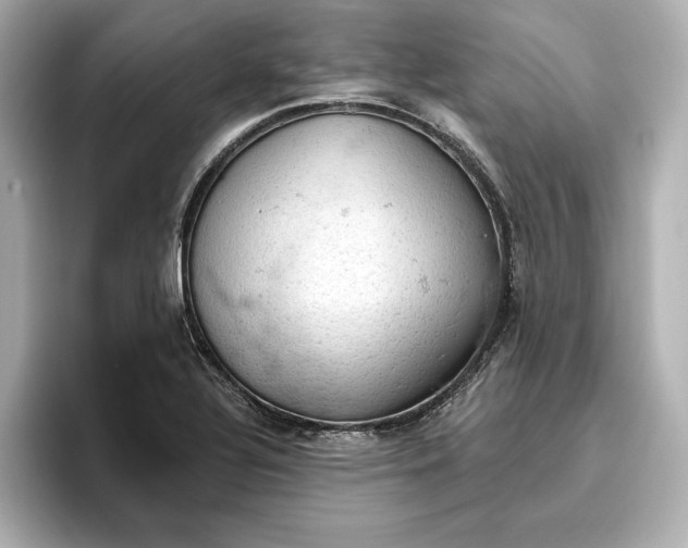 X0000096951320200802221314