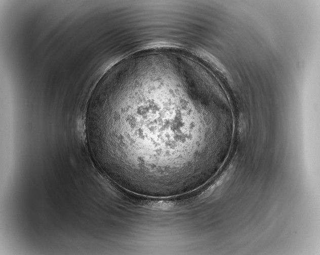 X0000096951321200802221314
