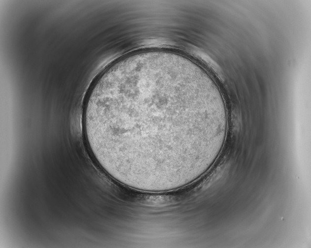 X0000096951322200802221314