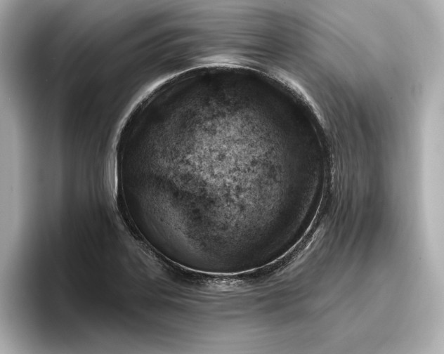 X0000096951323200802221314