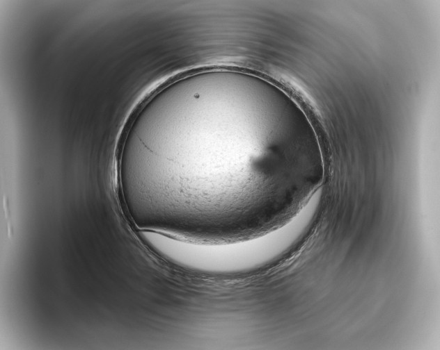 X0000096951324200802221314