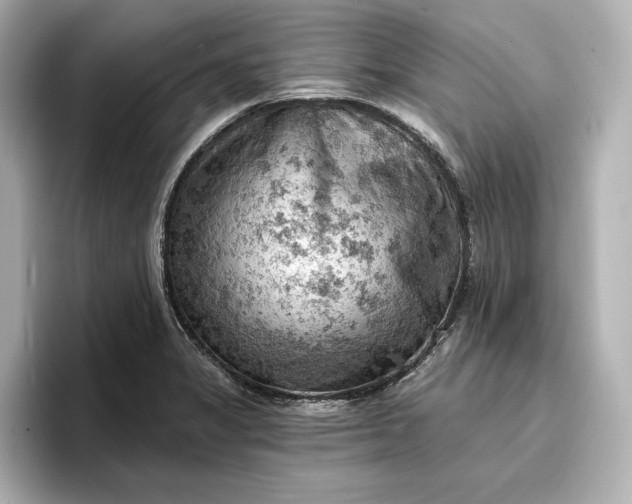 X0000096951325200802221314