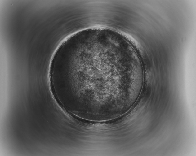 X0000096951327200802221314