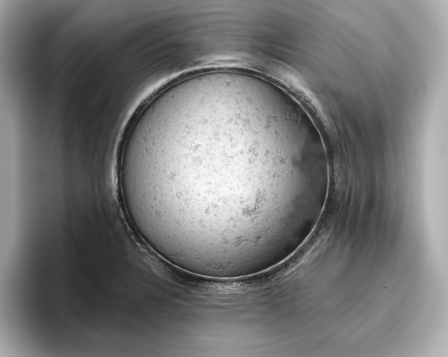X0000096951328200802221314