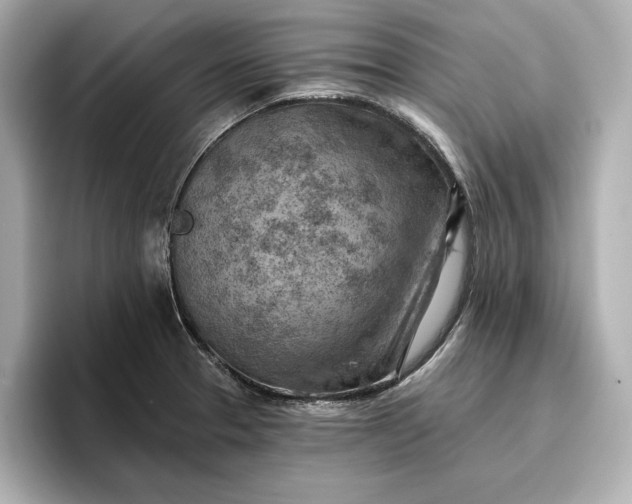 X0000096951329200802221314