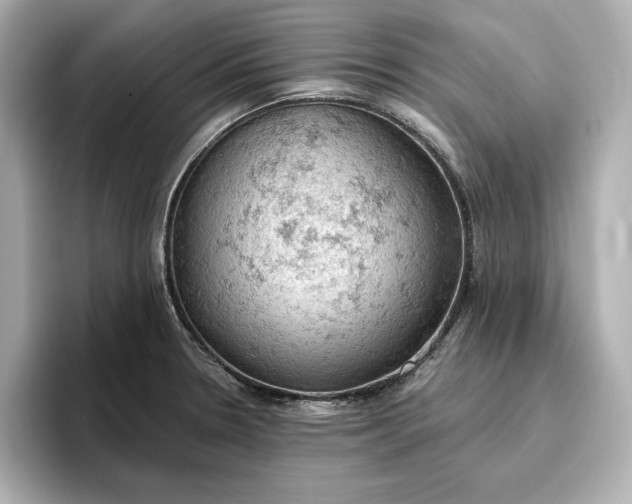 X0000096951330200802221314