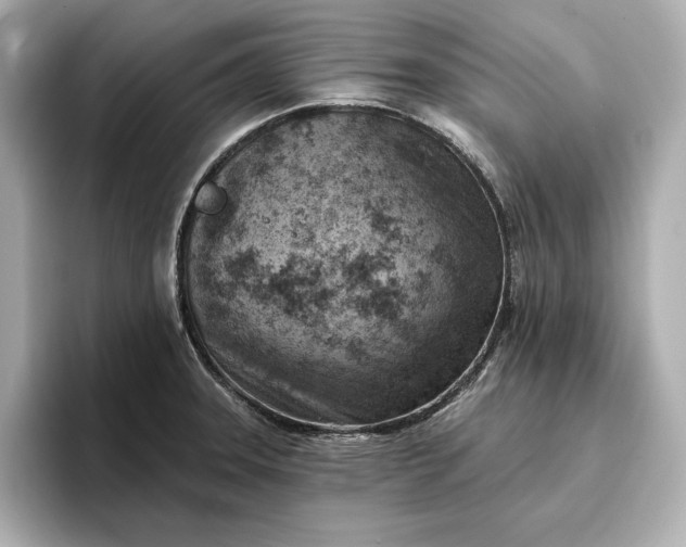 X0000096951331200802221314