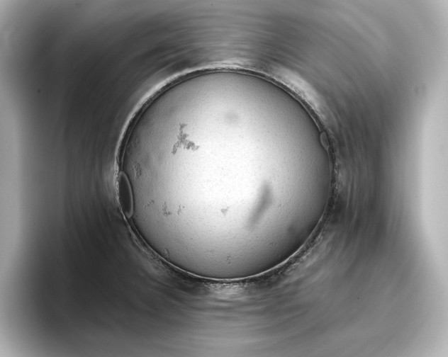 X0000096951332200802221314